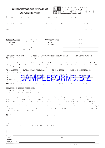 Texas Medical Records Release Form 2